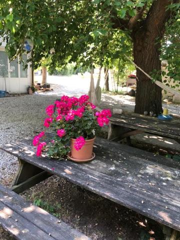 ביביונה Agriresidence San Pietro מראה חיצוני תמונה