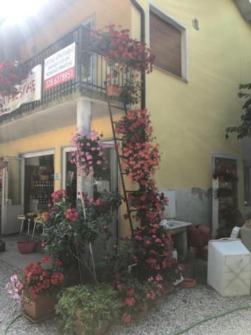 ביביונה Agriresidence San Pietro מראה חיצוני תמונה